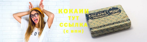 соль ск Вяземский