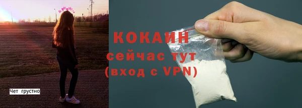 соль ск Вяземский