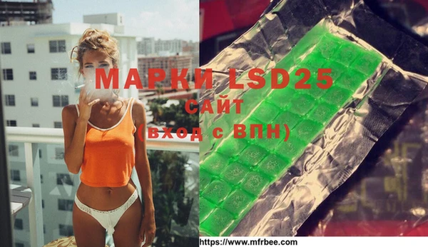 ГАЛЛЮЦИНОГЕННЫЕ ГРИБЫ Вязьма