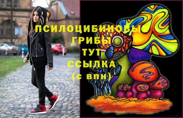 соль ск Вяземский