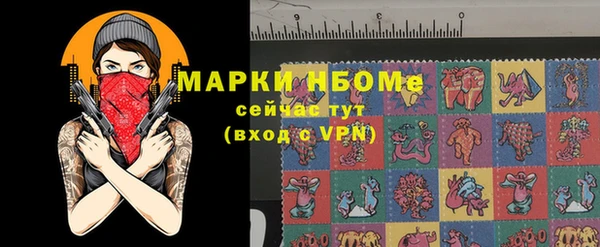 соль ск Вяземский